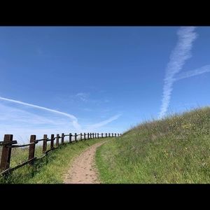 Meet your Posher, Athena